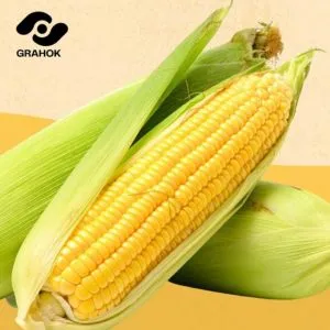 Corn